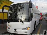 Bonluck JXK6115 / Bus Service