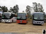 Unidades Golden Dragon / Buses Villar - Especial Caminata Los Andes 2014