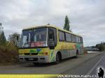 Busscar El Buss 320 / Mercedes Benz OF-1318 / Isla de Chiloé