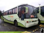 Busscar Jum Buss 340 / Scania K113 / Pro Trans