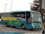 Unidades Mercedes Benz / ASEC  Buses
