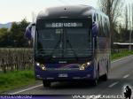 Neobus New Road N10 360 / Scania K360 / Particular