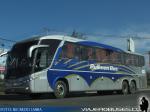 Unidades Marcopolo / Pullman Bus - Tandem