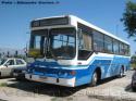 Metalpar Petrohue 2000 / Mercedes Benz OH-1420 / Bus Particular