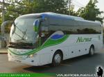 King Long XMQ6996 / Buses Nuñez