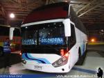Zhong Tong LCK6137 / Buses Golondrina