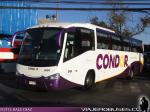 Irizar Century / Scania K380 / Condor Bus