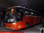 Comil Campione 3.45 / Mercedes Benz O-500RS / Buses Golondrina