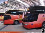 Zhong Tong LCK6137 / Pullman Bus - Paravias