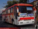 Busscar Jum Buss 340 / Scania K113 / Andrade