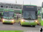 Unidades Tur-Bus / Terminal Alameda