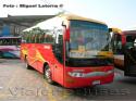 Zhong Tong Catch / Buses Palmira