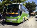 Zong Thong LCK6125H Creator / Buses Curacavi