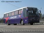 Busscar El Buss 340 / Mercedes Benz O-400RSE / Condor