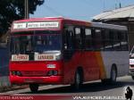 Marcopolo Torino / Mercedes Benz OHL-1320 / Buses Cifuentes