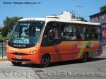 Busscar Micruss / Mercedes Benz LO-914 / Cordillera Sur