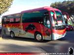 Golden Dragon / Buses Palacios