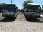 Unidades Busscar El Buss 320 / Mercedes Benz OF-1721 & OF-1318 / huincabus