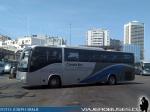 Higer KLQ6129 / Camila Bus