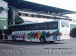 Flota de Buses Linatal