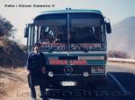 Mercedes Benz O-303 / Buses Ligua