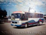 Caio Gabriela / Mercedes Benz 1113 / Eme Bus