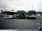 Flota de Buses Elqui Bus Palacios