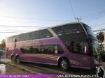 Modasa New Zeus II / Scania K410 / Pullman Bus