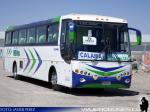Busscar El Buss 340 / Scania K124IB / Oviedo Hnos.