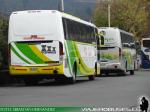 Busscar Vissta Buss LO / Mercedes Benz / Via Costa - Buses Jeldres