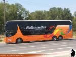Unidades DD / Pullman Bus