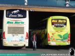 Unidades Volvo - Mercedes Benz / Bus Norte - Teminal de Pto. Montt