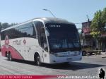 Neobus New Road N10 380 / Scania K400 / MT Bus