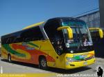 Yutong ZK6136 / Talmocur