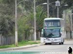 Buses Nilahue / Provincia Cardenal Caro