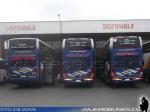 Unidades DD / Scania - Volvo / Andimar