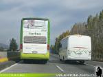 Unidades Scania - Mercedes Benz / Tur-Bus