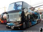 Unidades Moraga Tour - MT Bus