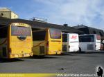Unidades Mercedes Benz / JAC - Terminal de Villarrica