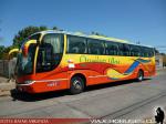 Marcopolo Viaggio 1050 / Mercedes Benz O-500RS / Queilen Bus
