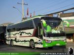 King Long XMQ6130Y / Oro Verde por Gama Bus