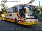Marcopolo Viaggio 1050 / Scania K124IB / Cruz del Sur