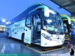 Buses Nilahue / Terminal Sur
