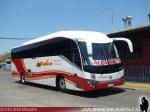 King Long XMQ6130YEYW5 / Interbus