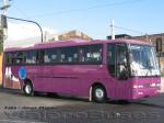 Busscar El Buss 340 / Masa / Buses Tepual