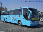 Marcopolo Viaggio 1050 / Scania K124IB / Buses al Sur