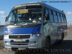 Volare W8 / Buses Puchacay