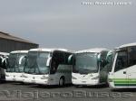 Flota de Buses Yanguas