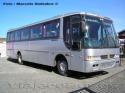 Busscar El Buss 320 / Mercedes Benz OF1318 / Turismo