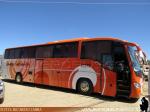 Irizar Century / Scania K380 / Buses Pallauta